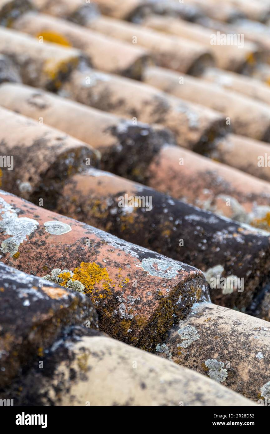 Vue verticale rapprochée des tuiles anciennes et altérées de Séville, Espagne Banque D'Images