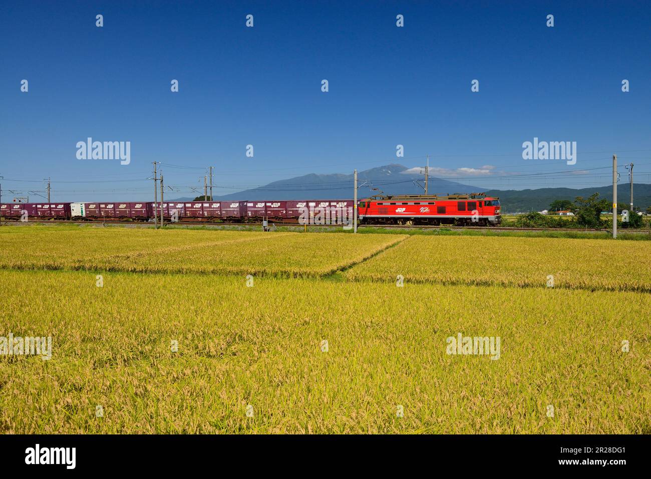 Vue du train de marchandises qui fonctionne sur la ligne principale JR Uetsu, les rizières et un aperçu du Mont Chokaisan Banque D'Images