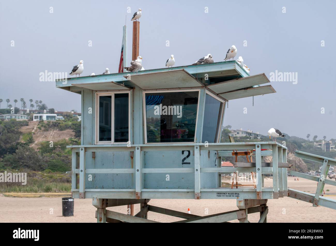 Mouettes et maison de maître-nageur sur la plage Banque D'Images