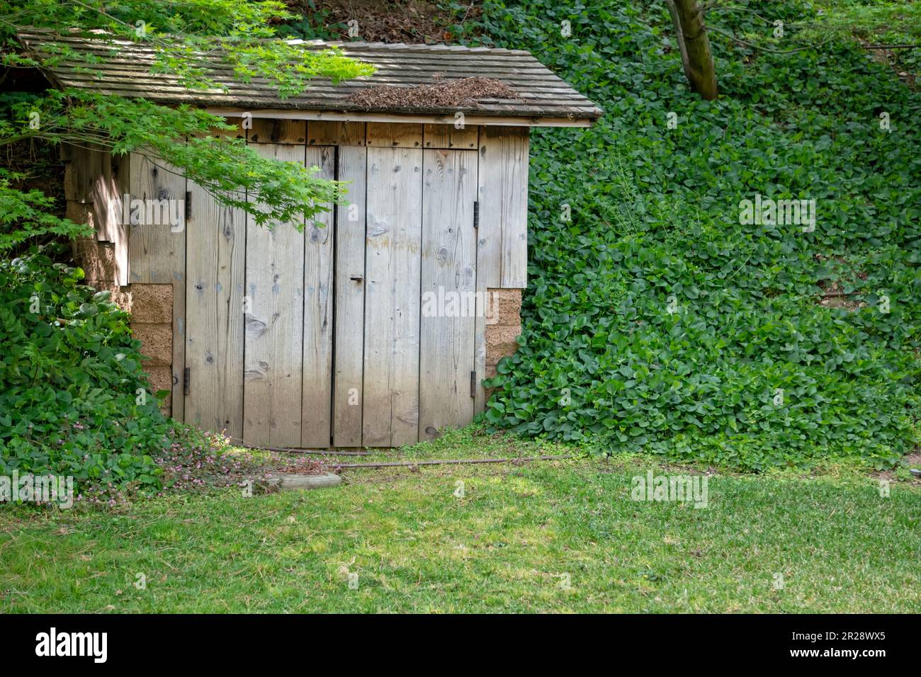 Petit hangar dans les bois Banque D'Images