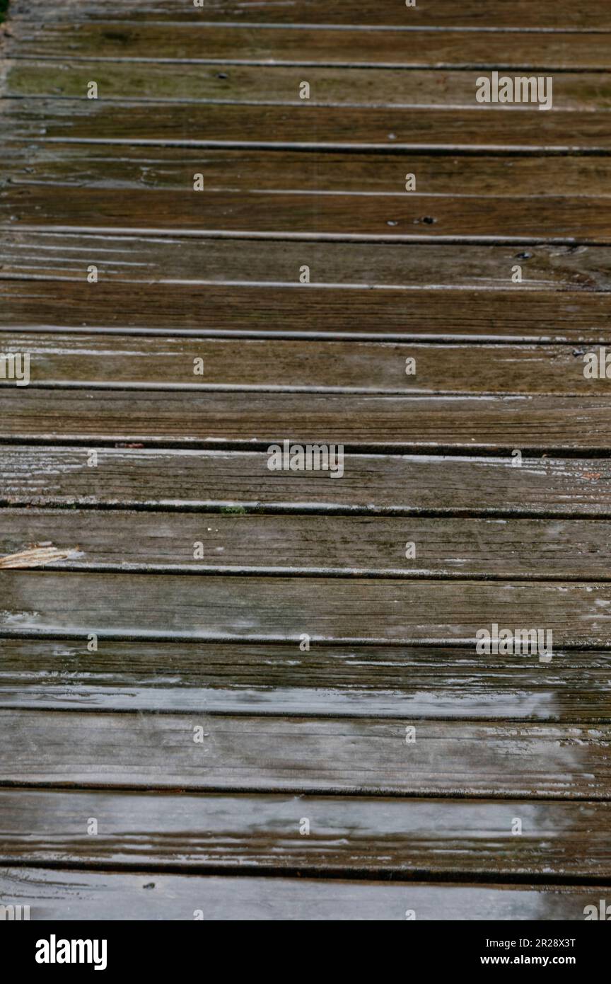 La pluie tombe sur une terrasse en bois, ce qui la rend très glissante Banque D'Images