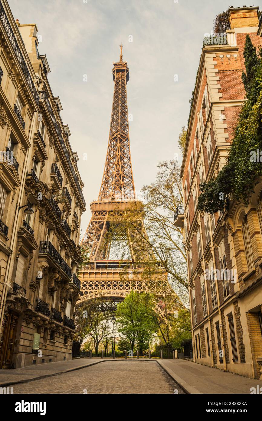 Vue sur la Tour Eiffel depuis une rue voisine pleine de bâtiments résidentiels. Paris, France Banque D'Images