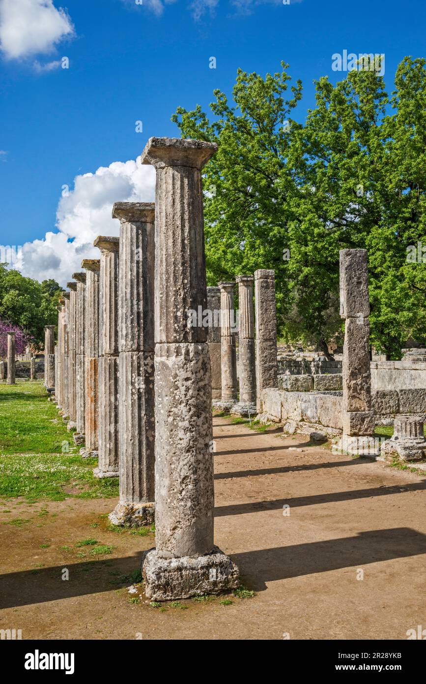 Colonnes à l'école de lutte de Palaestra, période hellénistique, sanctuaire de l'ancienne Olympie, péninsule du Péloponnèse, région de la Grèce occidentale, Grèce Banque D'Images