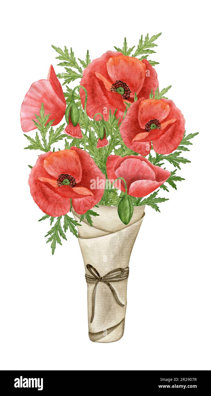 Illustration boquete de fleur de pavot. Aquarelle de fleurs sauvages dessinées à la main. Banque D'Images