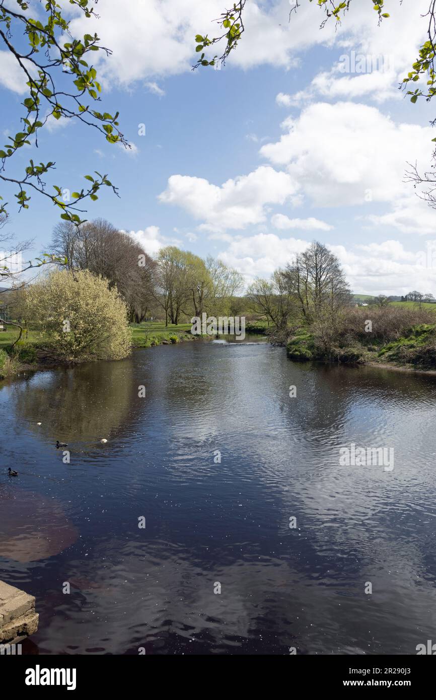 La rivière Wyre traversant Garstang Lancashire en Angleterre Banque D'Images