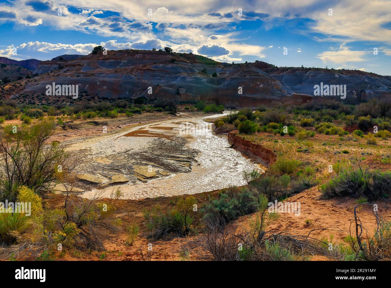 La rivière Paria serpente près de la route White House Trailhead, Grand Staircase-Escalante National Monument à l'est de Kanab, Kane County, Utah, États-Unis. Banque D'Images
