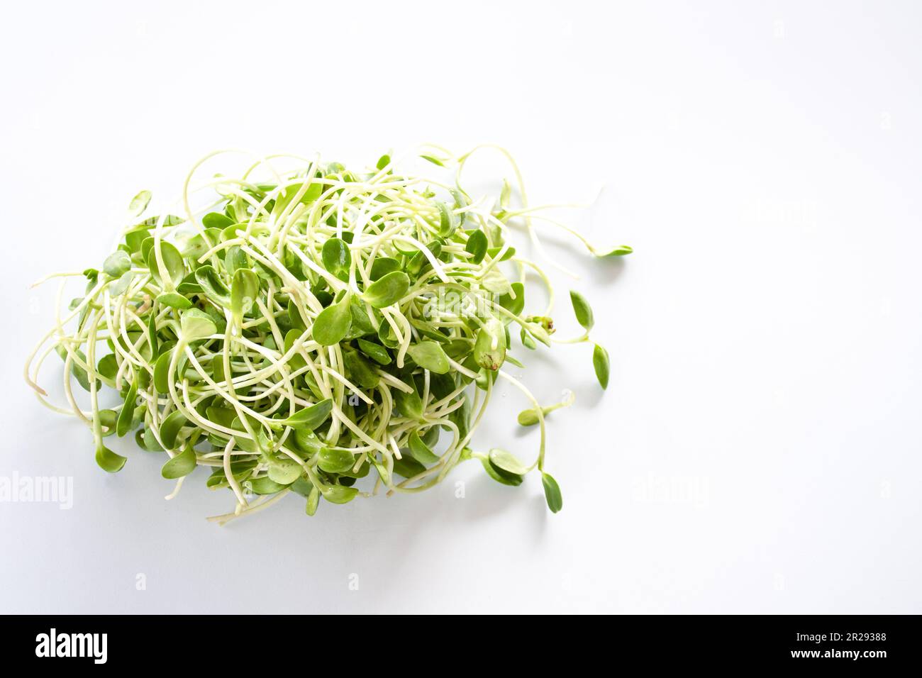 Vue de dessus, beaucoup de semis de tournesol sur un tableau blanc de fond. Les semis de tournesol sont très nutritifs et nutritifs. Peut prévenir de nombreuses maladies. CL Banque D'Images
