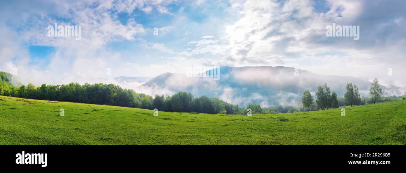paysage herbacé de prairies de montagnes ukrainiennes. vue sur la vallée lointaine. matin brumeux Banque D'Images