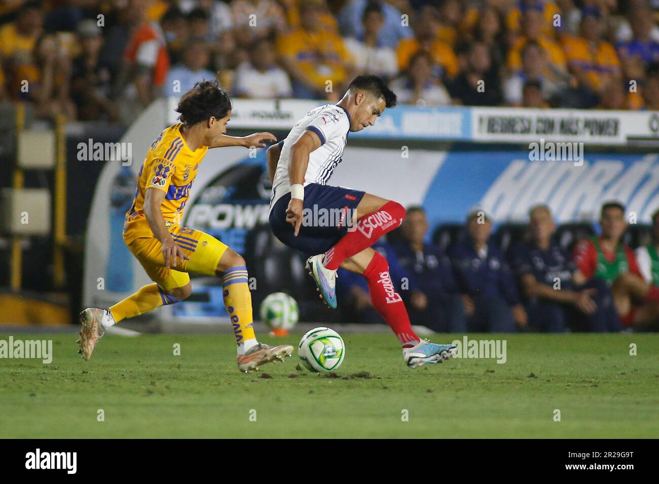 Monterrey Estádio Universitário, Mexique. , . Demi-pied 1st de la Liga BBVA MX Clausura 2023 entre UANL Tigres et Monterrey Rayados. Crédit : PX Images/Alamy Live News Banque D'Images