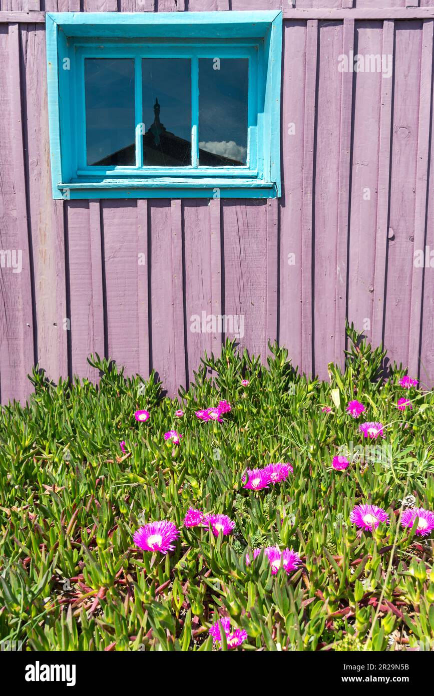 Île d'Oléron en Charente-Maritime, France. Détail d'une ancienne cabane de pêche Banque D'Images