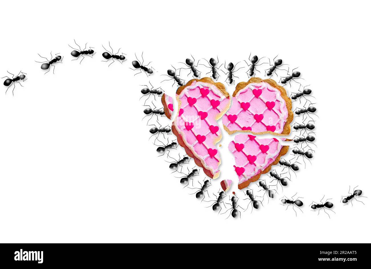 En nettoyant un cœur brisé, les fourmis marchent pour faire le travail. Un biscuit cassé en forme de coeur est sur le sol et une colonie de fourmis est là pour le nettoyer Banque D'Images