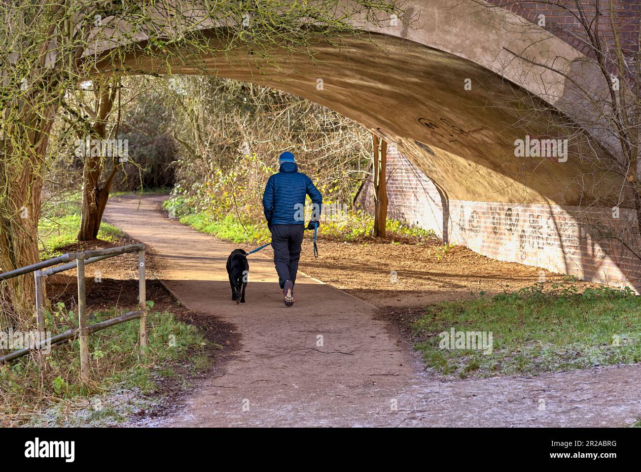 Homme promenant chien le long d'un chemin rural de campagne avec arc de passage supérieur. Angleterre Royaume-Uni Banque D'Images