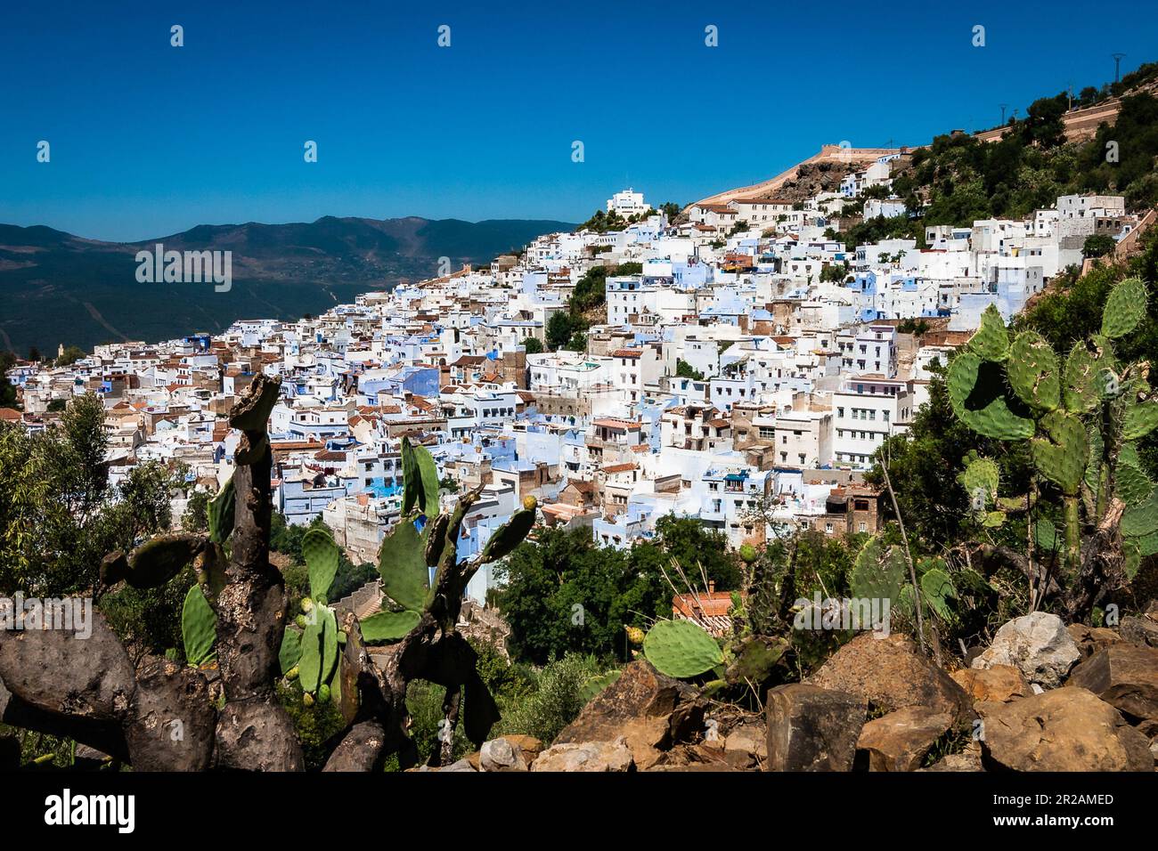 Vue panoramique sur la ville de Chefchaouen une ville du nord-ouest du Maroc, fondée en 1471. C'est le chef-lieu de la province du même nom et il est n Banque D'Images