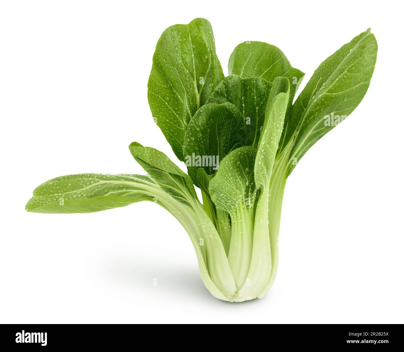 Chou frais pak choi isolé sur fond blanc avec une profondeur de champ totale Banque D'Images