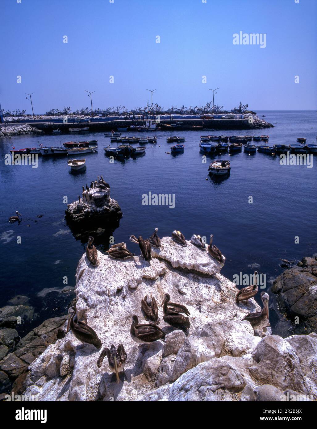 Peru.Moquegua.ILO Port de pêche. Banque D'Images