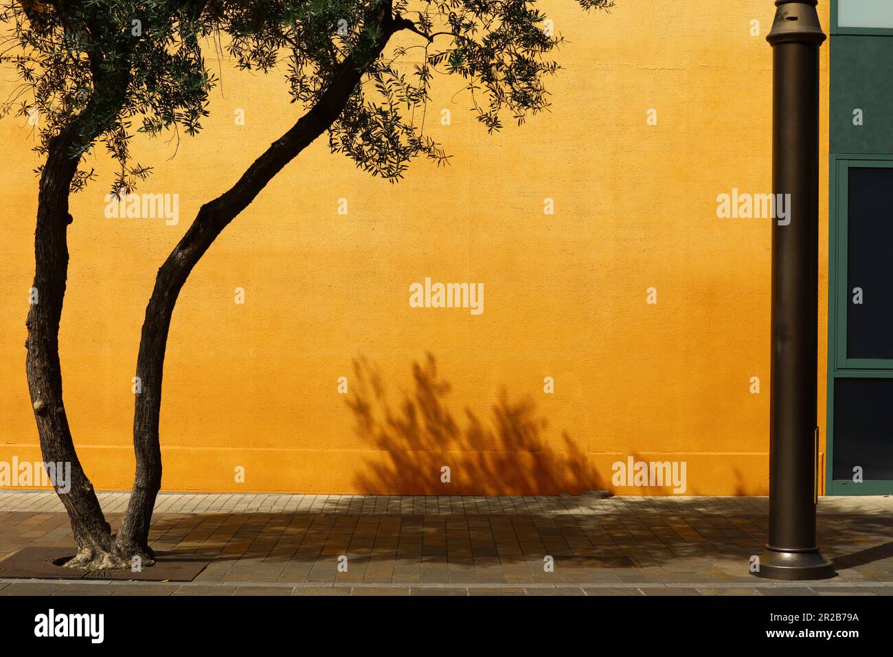 Le contraste entre les oliviers, les murs orange, et la lumière du soleil d'été qui colore la ville de manière éclatante Banque D'Images