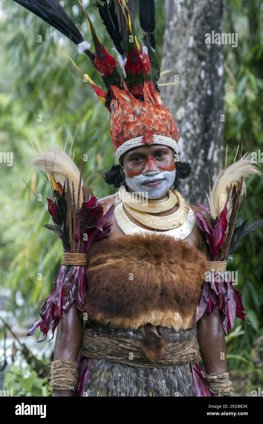Papouasie-Nouvelle-Guinée; Hautes-terres orientales; Goroka; fille de papuan en costume traditionnel de cérémonie fait de peaux, de graminées, de plumes et de coquillages colorés Banque D'Images