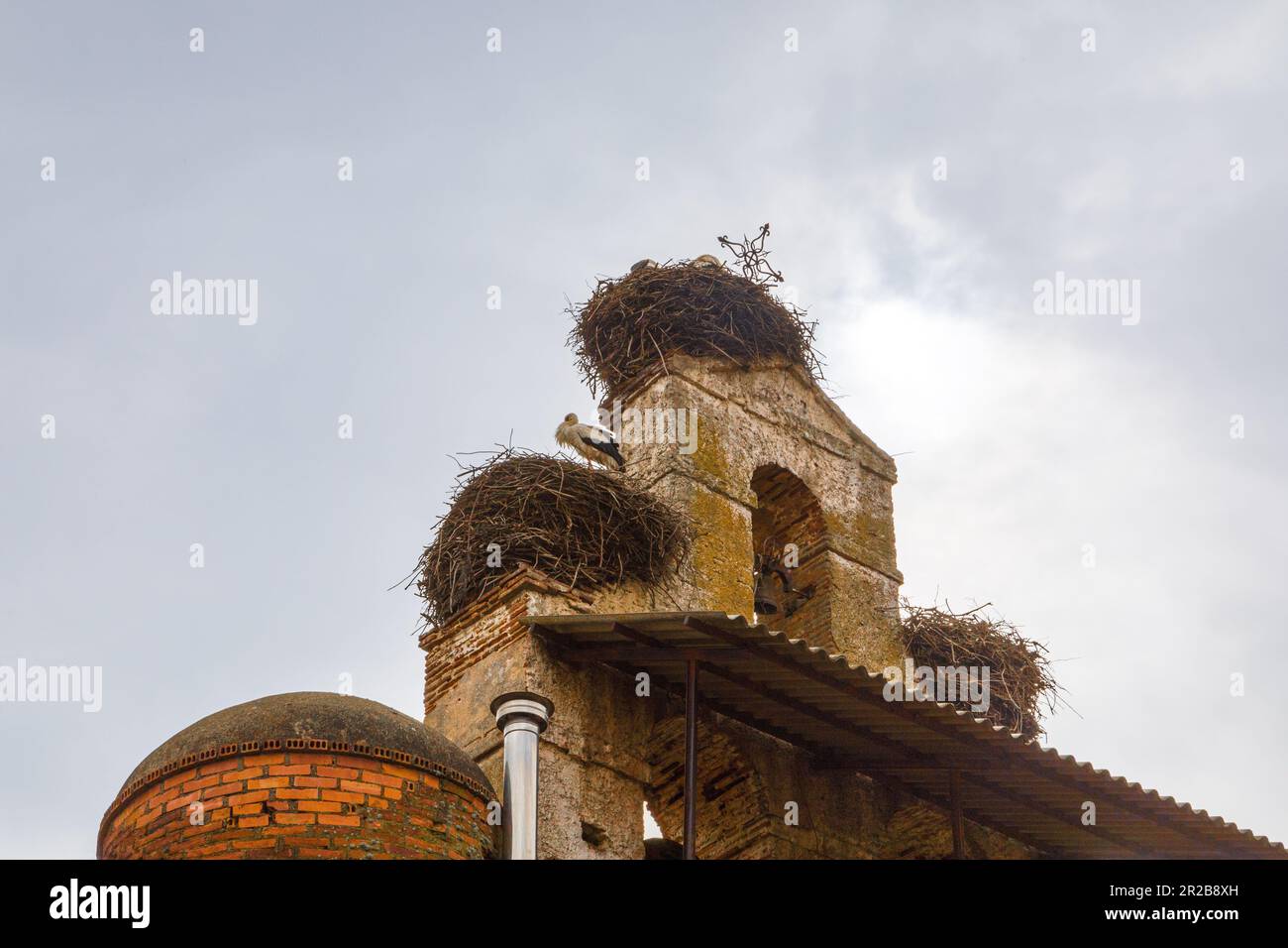 Les cigognes nichent à Villar de Mazarife, León, Espagne Banque D'Images