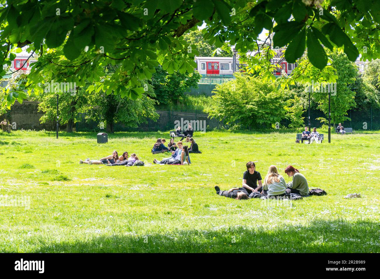 Acton Green Common, Turnham Green Terrace, Chiswick, London Borough of Hounslow, Greater London, Angleterre, Royaume-Uni Banque D'Images