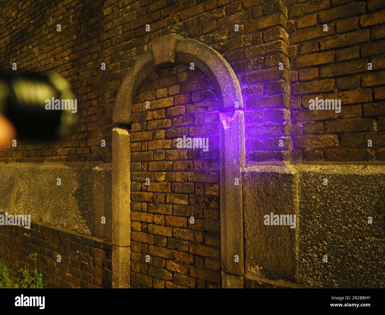 Sheerness, Kent, Royaume-Uni. 18th mai 2023. Un Scorpion vu sous la lumière UV dans le mur entourant le chantier naval Sheerness dans le Kent. Une colonie de scorpions vit dans le mur de Blue Town, Sheerness depuis qu'ils ont été achetés par bateau il y a environ 200 ans. Certains croient que les scorpions pourraient devenir plus courants en Angleterre en raison du changement climatique. Crédit : James Bell/Alay Live News Banque D'Images