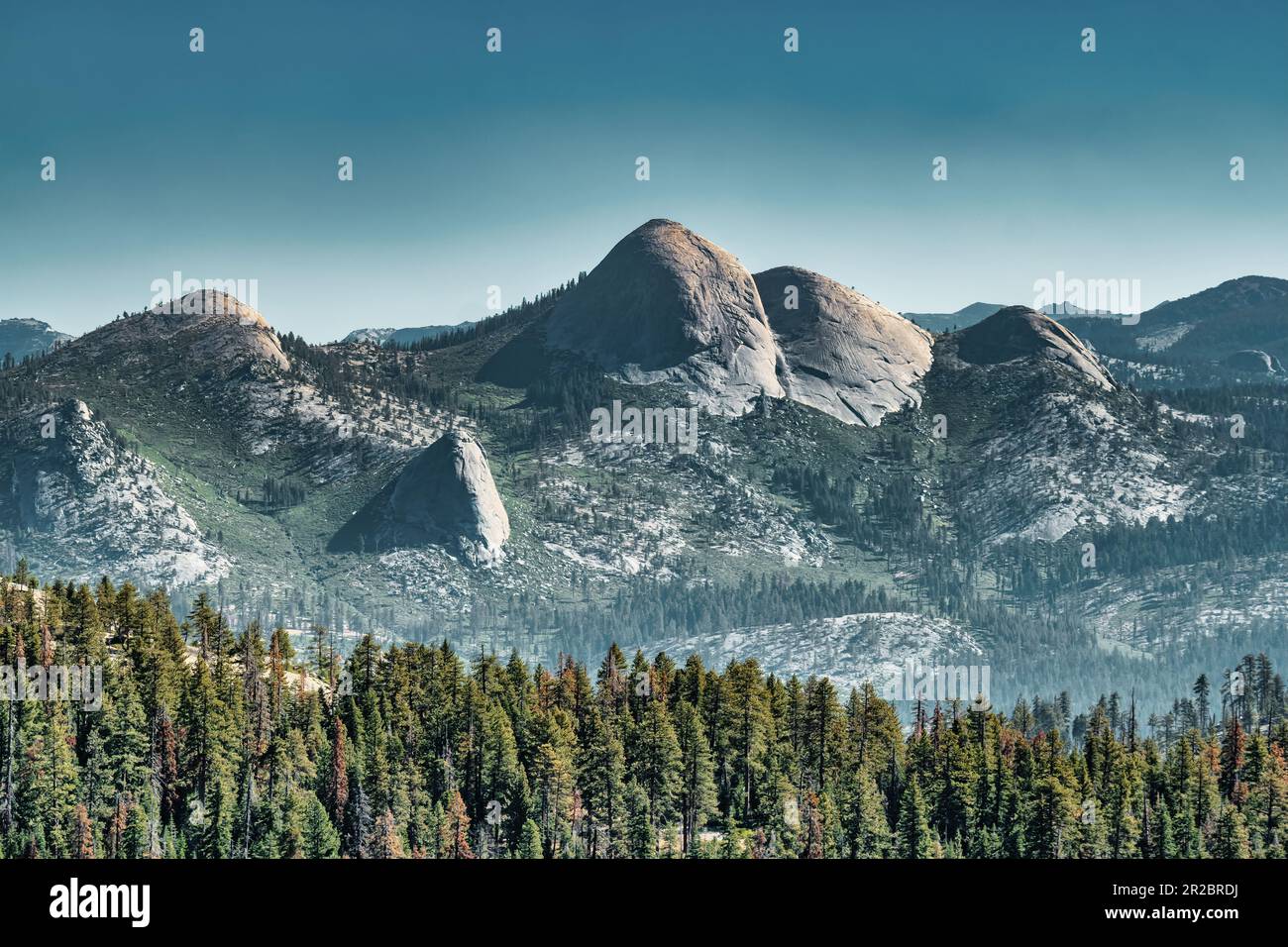 Dômes en granite dans le parc national de Yosemite, Californie, États-Unis Banque D'Images