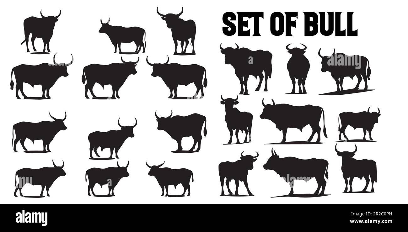 Cartes De Vœux Vierges Imprimées Avec Photos De Vache De La