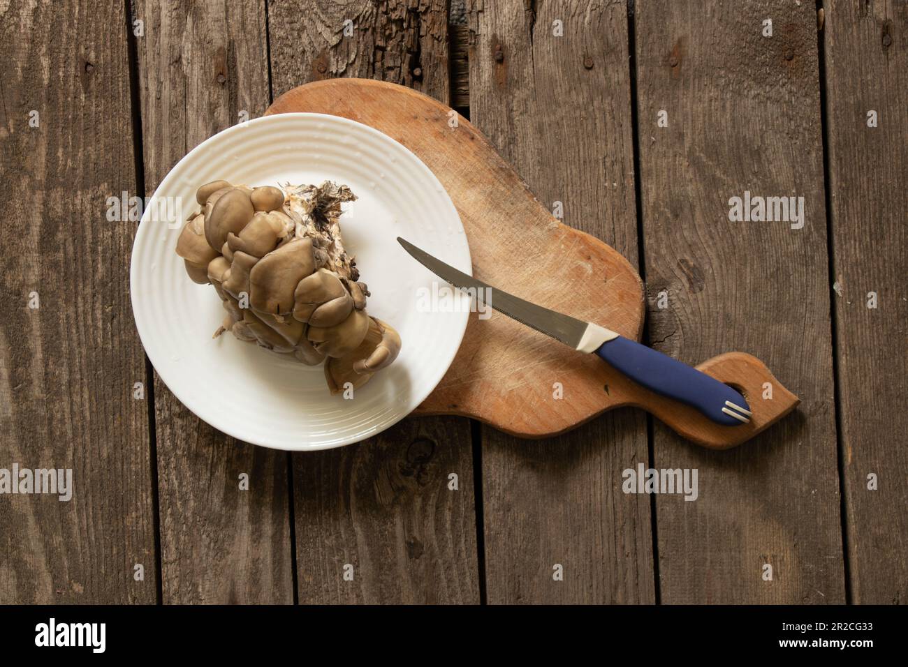 champignons clivi sur une planche et près d'un couteau sur une table en bois Banque D'Images