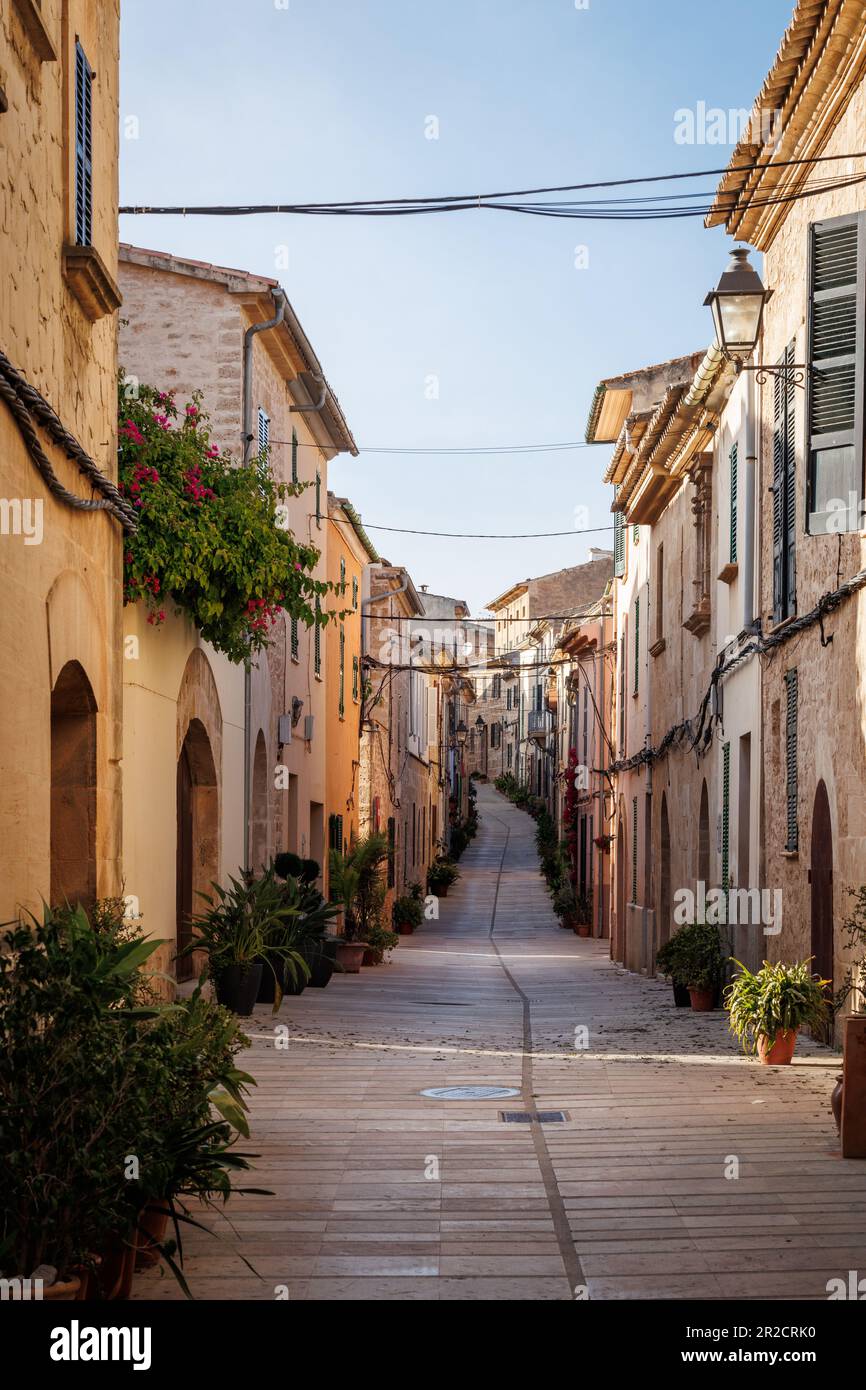Rue Alcudia. Vieille ville typique de Majorque avec une rue étroite et des plantes en pots Banque D'Images
