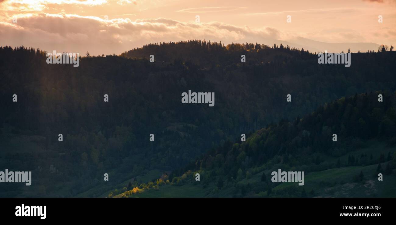 après-midi nuageux dans la campagne carpatique. collines boisées et prairies herbeuses dans la lumière du soir. magnifique arrière-plan rural au printemps Banque D'Images