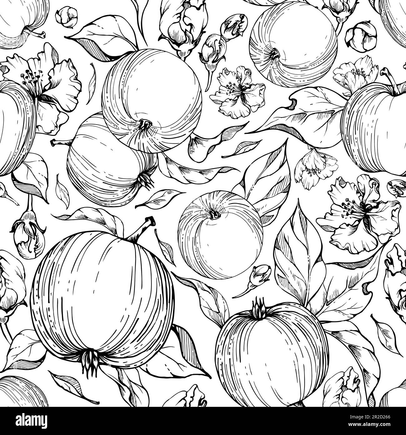 Fruits de pomme à encre tirée à la main, mûrs, pleins et tranches de vecteur monochrome, contour détaillé avec feuilles. Motif sans couture. Isolé sur fond blanc Illustration de Vecteur
