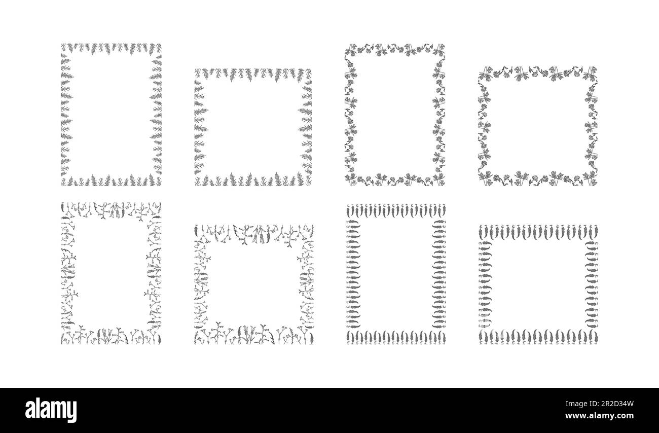 Bordures élégantes rétro et ornements de prairie en filigrane. Illustration de Vecteur