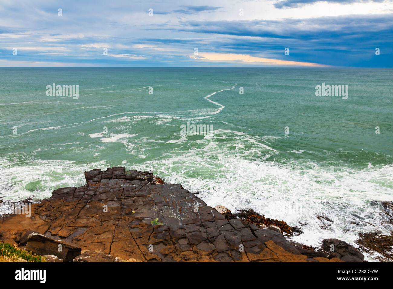 Tournière rocheuse entre Porpoise Bay et Curio Bay, dans le district de Southland, dans l'île du Sud, en Nouvelle-Zélande Banque D'Images