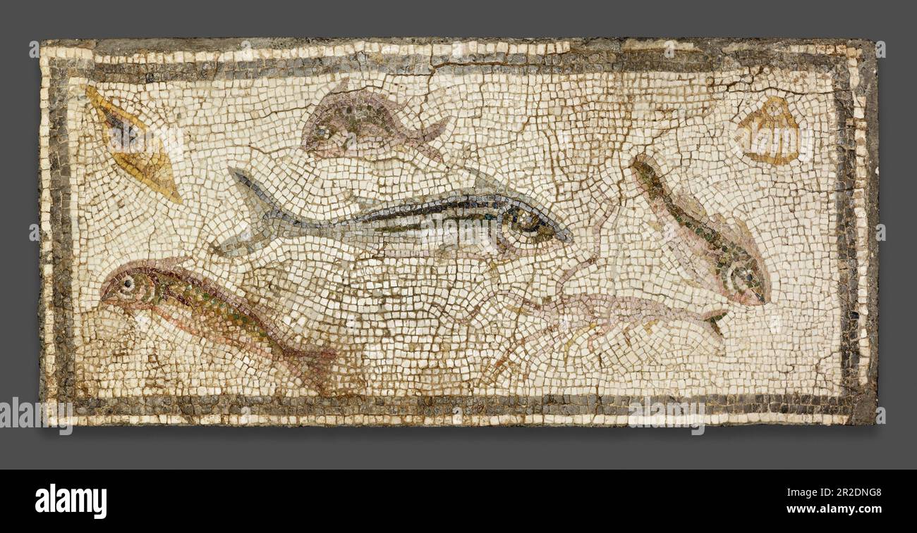Vie marine Date: 200-230 artiste: Roman; Daphne, Turquie, la Maison de l'Homme des lettres, pièce 2 Banque D'Images