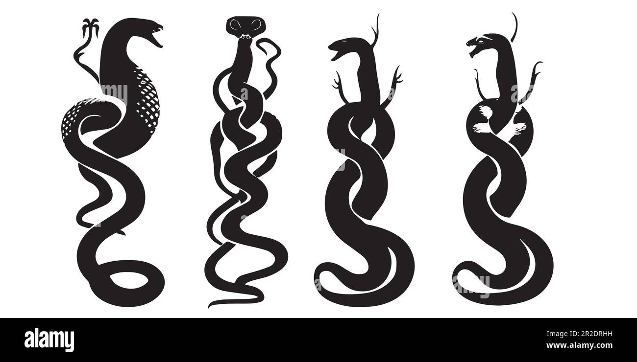 Un ensemble de silhouettes de serpent avec un vecteur dragon. Illustration de Vecteur