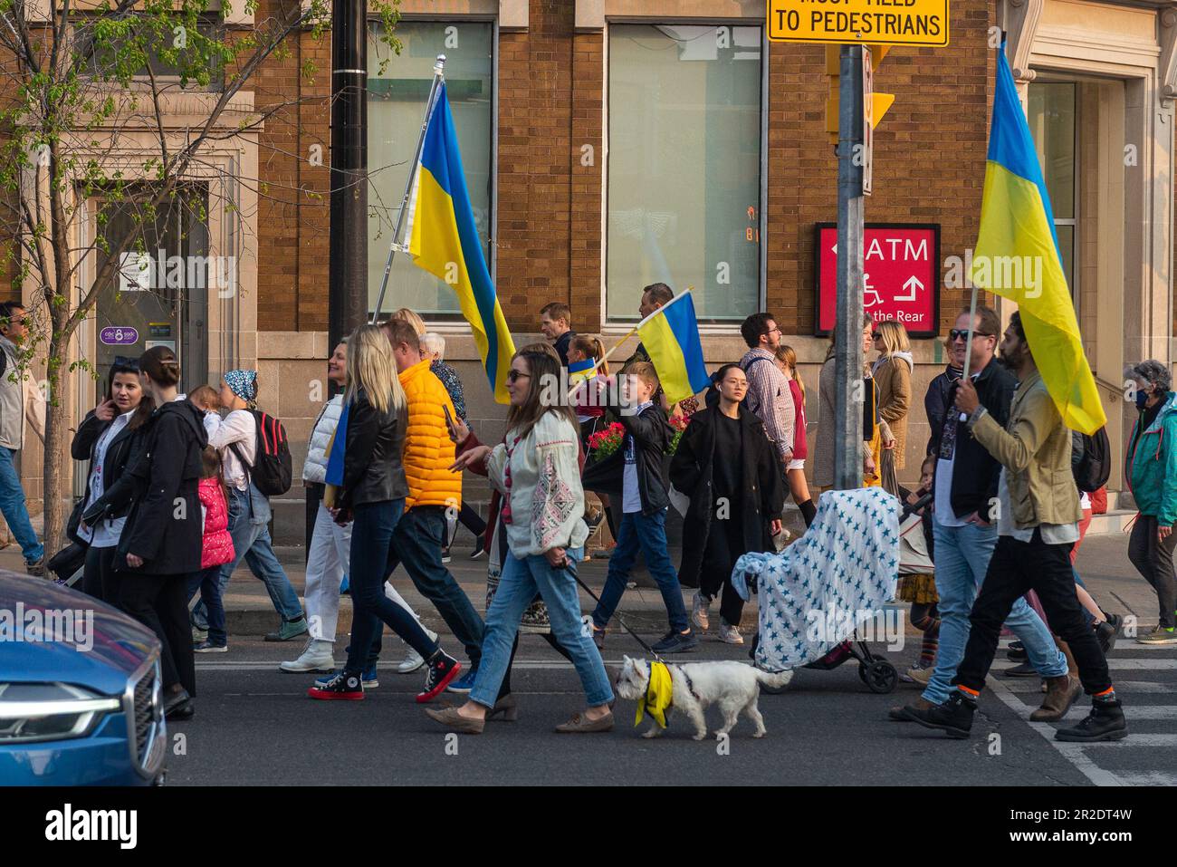 Toronto, ON, Canada – 18 mai 2023 : les gens vêtiés de vêtements nationaux ukrainiens - Vyshivanka marche le long de la rue Toronto le jour de Vyshyvanka, qui est ce Banque D'Images