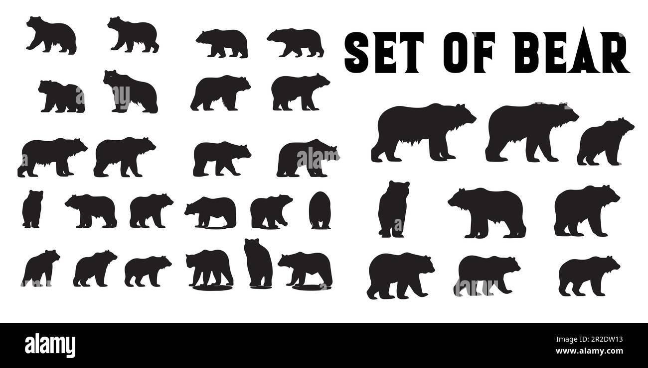 Ensemble de motifs vectoriels de silhouette d'ours. Illustration de Vecteur