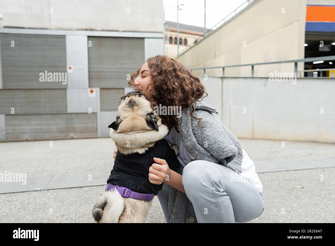 Jeune et maussette femme en vêtements décontractés et doux petant chien de pug dans le chandail tout en passant du temps sur la rue urbaine floue avec des bâtiments à l'arrière-plan i Banque D'Images