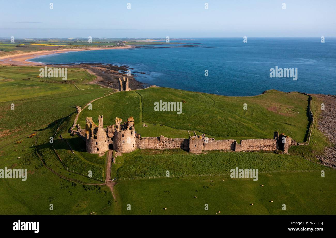 Vue aérienne des ruines du château de Dunstanburgh sur la côte de Northumberland, au nord-est de l'Angleterre, au Royaume-Uni Banque D'Images