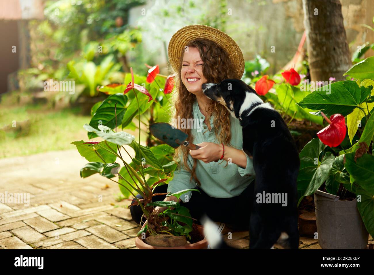 Une jeune femme se câlin et se moque avec son chien qui rit. Jardinier caucasien avec truelle plantant des fleurs dans des pots dans son jardin souriant Banque D'Images