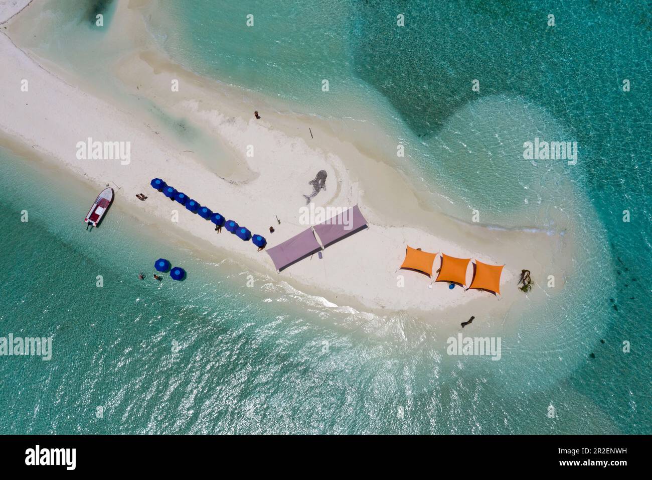 Île de barbecue, Bodumohora, Atoll de Felidhu, Océan Indien, Maldives Banque D'Images