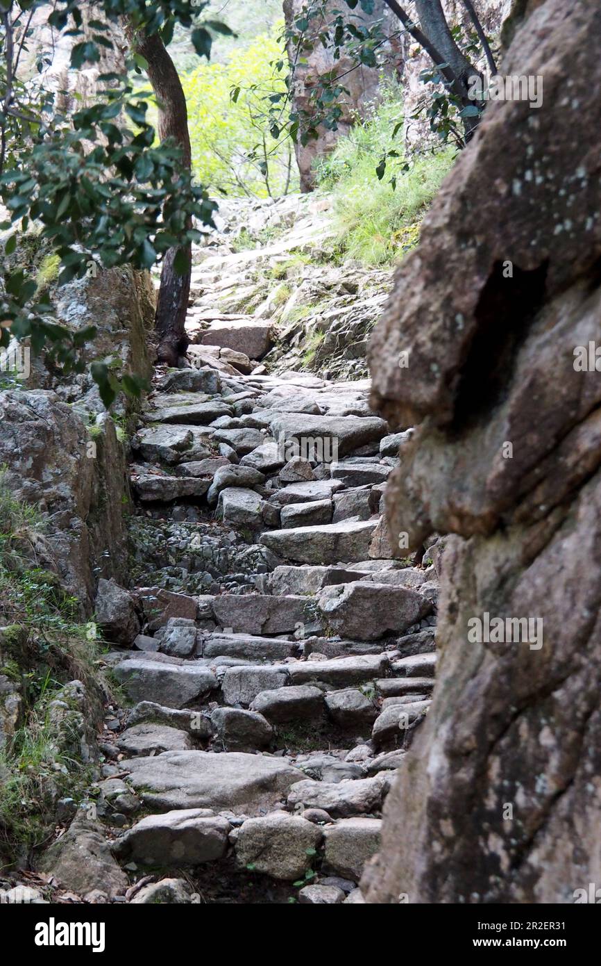 Marches de pierre à Sentier de la Spilonca près d'Ota dans les hauts plateaux entre Evisa et Porto, Corse-du-Ouest, France Banque D'Images