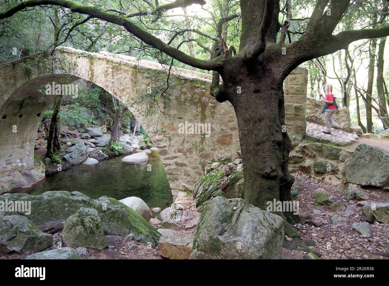 Pont Zaglia à Sentier de la Spilonca près d'Ota dans les montagnes entre Evisa et Porto, Corse-du-Ouest, France MR disponible: Andrea Seifert Banque D'Images