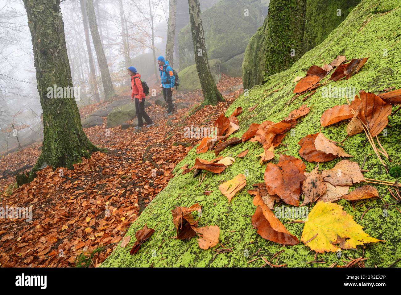 Homme et femme randonnée dans les montagnes de grès d'Elbe, Kleiner Winterberg, montagnes de grès d'Elbe, Parc national de la Suisse saxonne, Suisse saxonne Banque D'Images