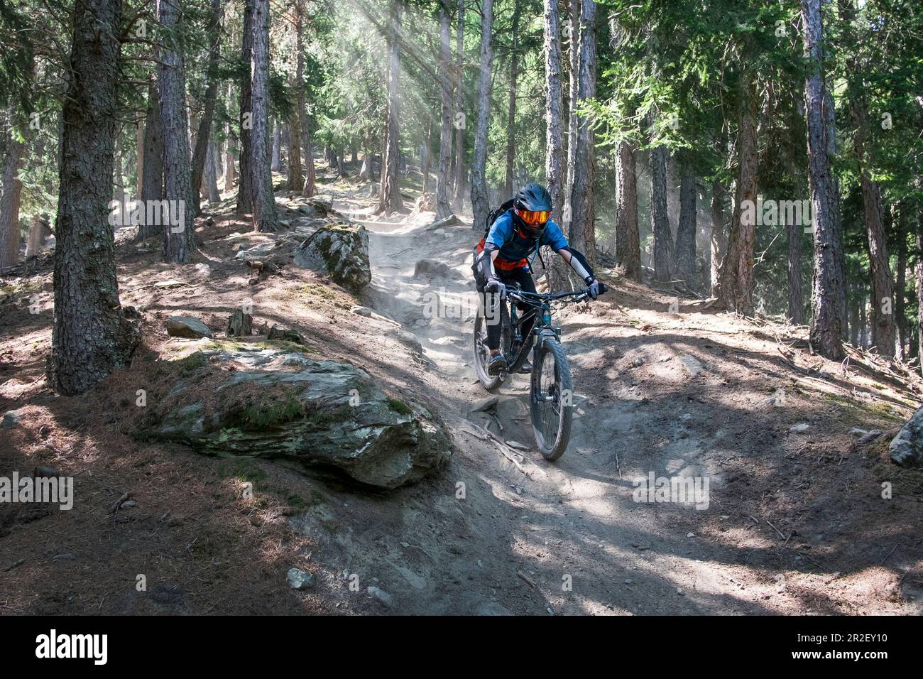 VTT sur le Sunny Benny Trail à Vinschgau, Italie Banque D'Images