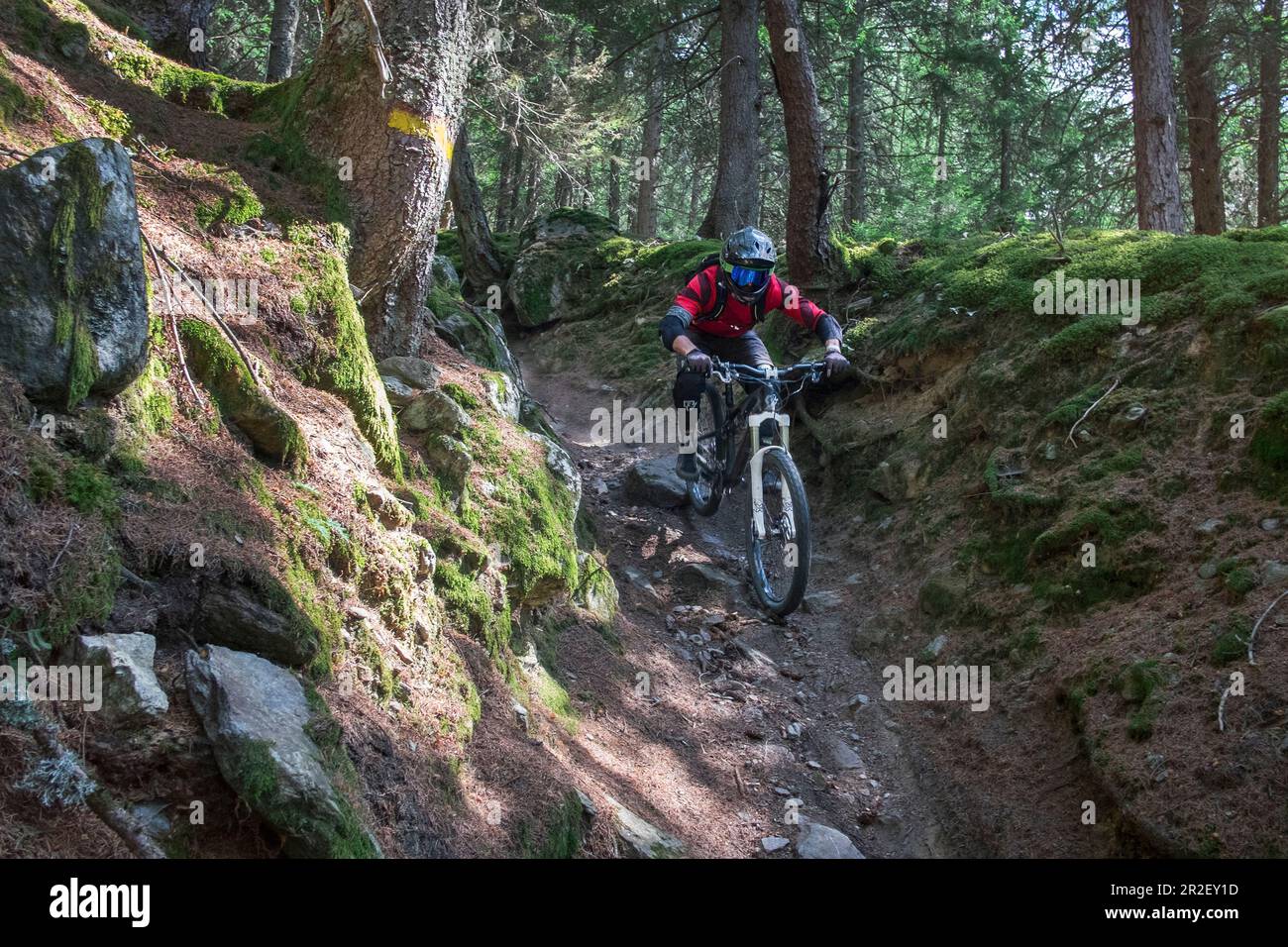 VTT sur la piste de Tarscher Alm à Vinschgau, en Italie Banque D'Images