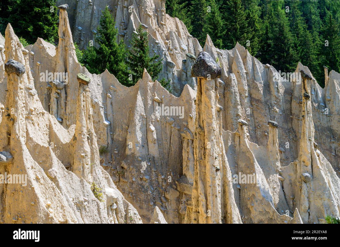 Les pyramides de la terre, monument naturel à Oberwielenbach, percha, Vallée de Puster, Tyrol du Sud, Italie Banque D'Images
