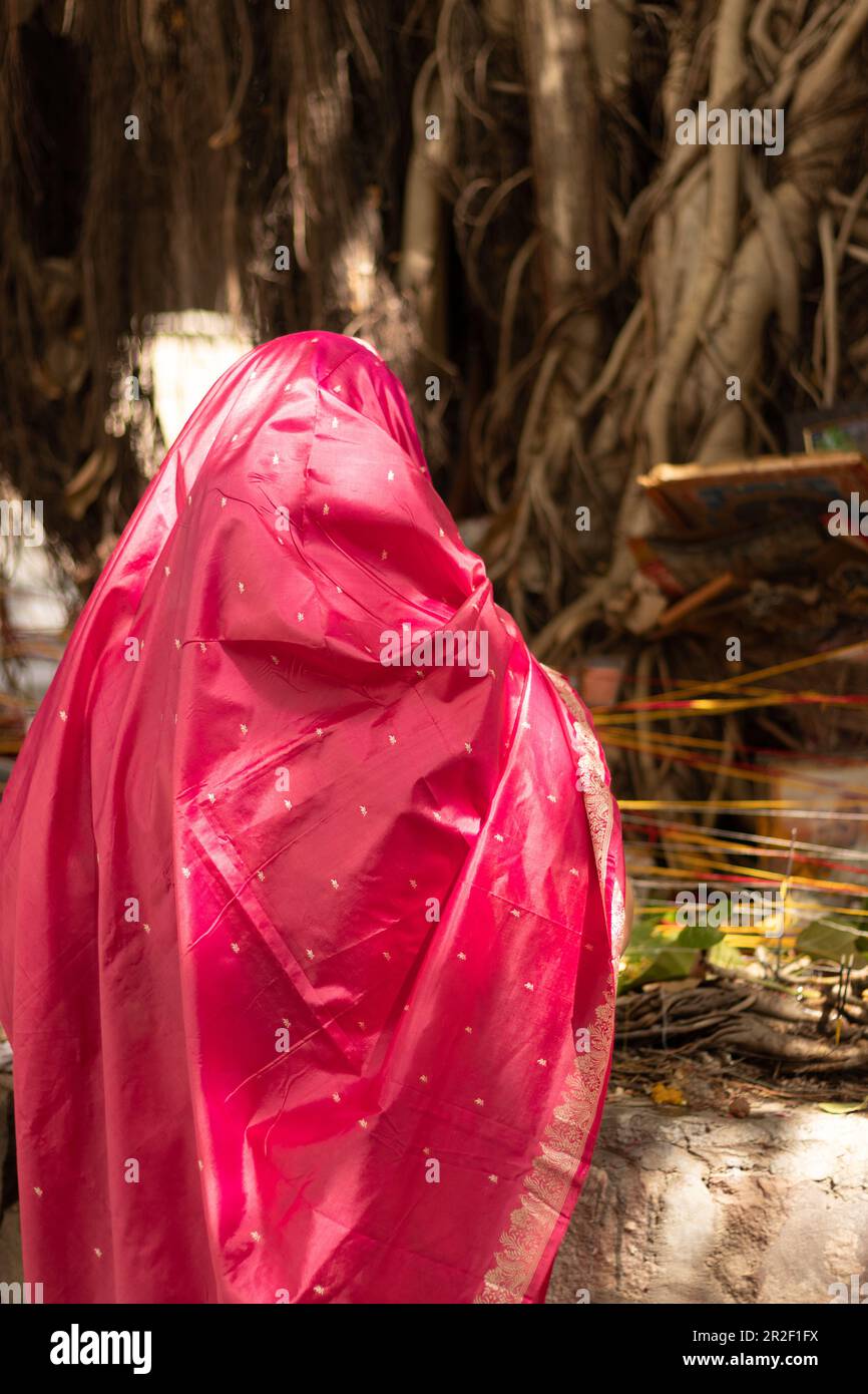 les femmes priant pour le culte religieux hindou de banyan tree sur vat savitri au jour le jour Banque D'Images