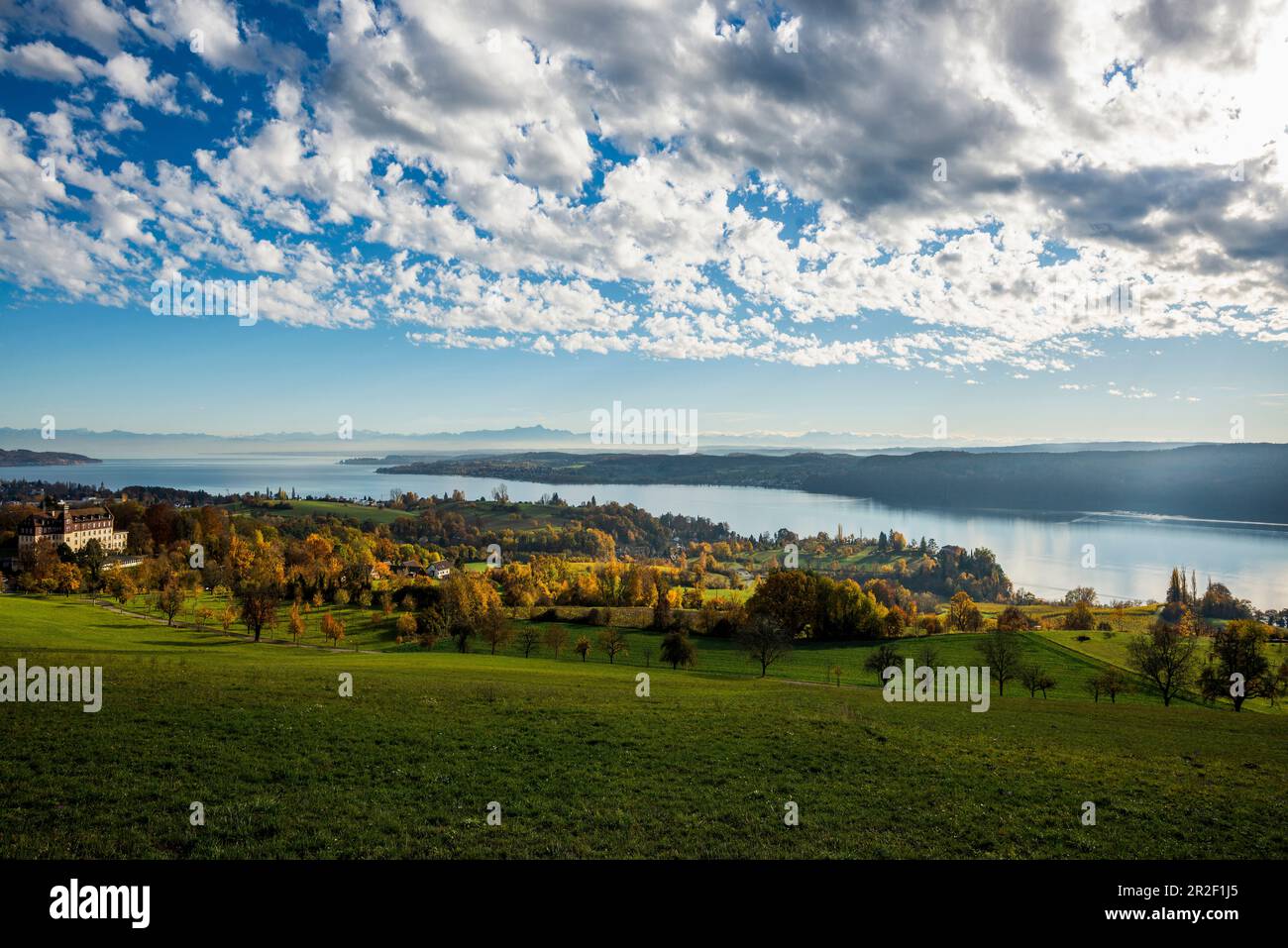 Vue sur le lac de Constance en automne, en face du château de Spetzgart, dans la chaîne alpine arrière, près d'Überlingen, lac de Constance, Bade-Wurtemberg, Allemagne Banque D'Images