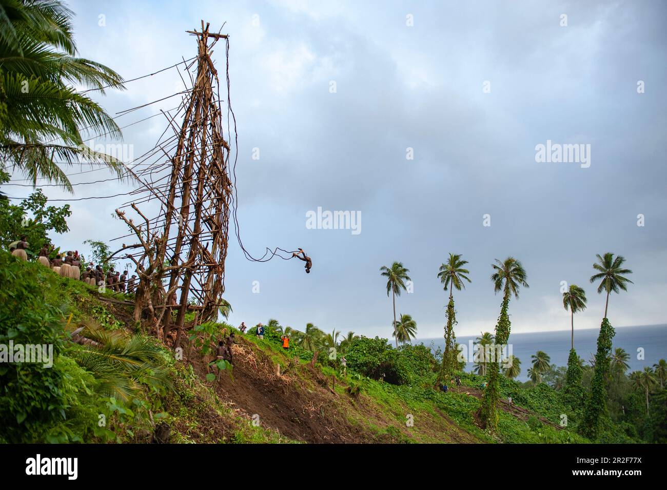 Saut à l'élastique original: Un jeune homme saute d'une tour en bois avec seulement des vignes sur ses chevilles, l'île de Pentecôte, Torba, Vanuatu, Pacifique Sud Banque D'Images