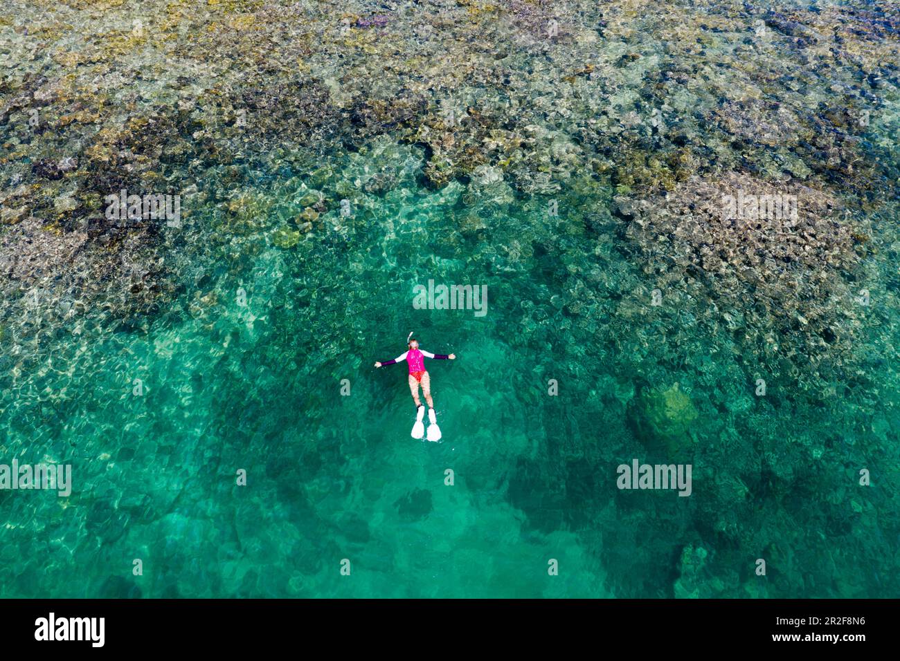 Plongée en apnée sur le récif de la maison de Lissenung, Nouvelle-Irlande, Papouasie-Nouvelle-Guinée Banque D'Images